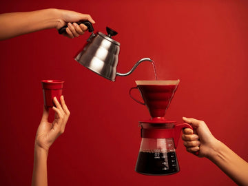 Why Coffee Filter Size Matters More Than You Think