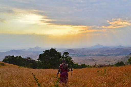 Coffee Origins 101: Africa